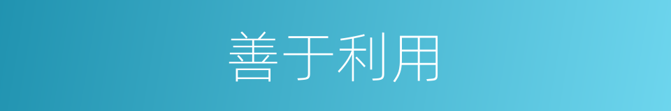 善于利用的意思