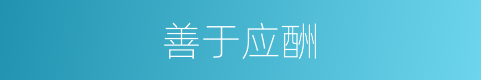 善于应酬的同义词