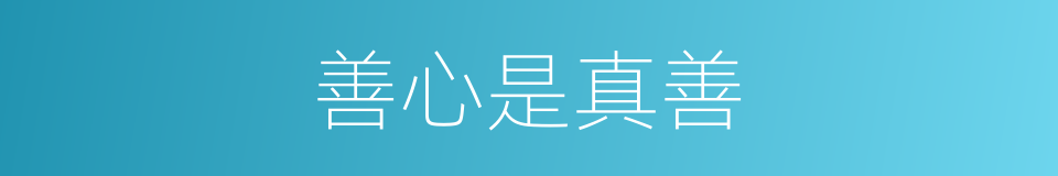 善心是真善的同义词