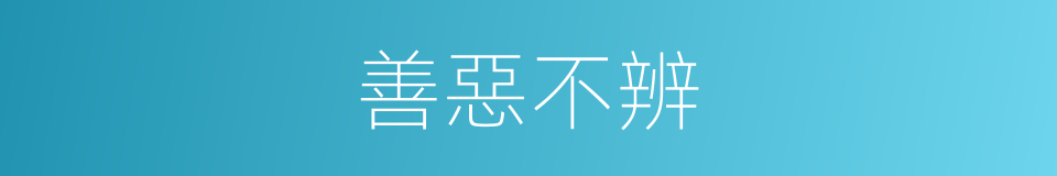 善惡不辨的意思