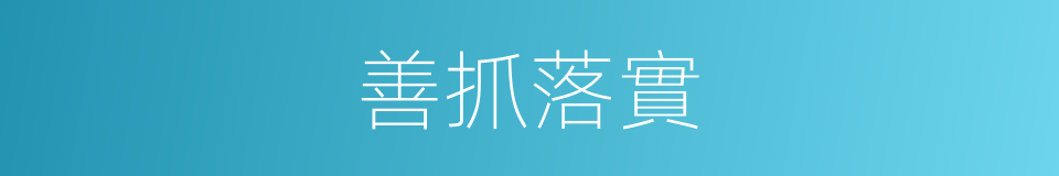 善抓落實的同義詞