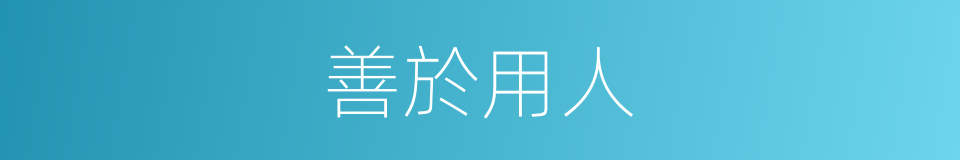 善於用人的意思