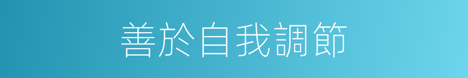 善於自我調節的同義詞