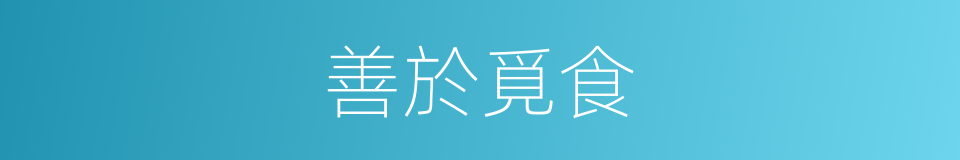 善於覓食的同義詞