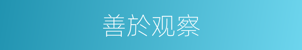 善於观察的同義詞