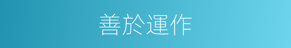 善於運作的同義詞