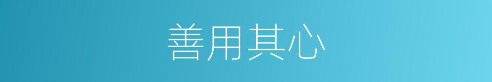 善用其心的同义词