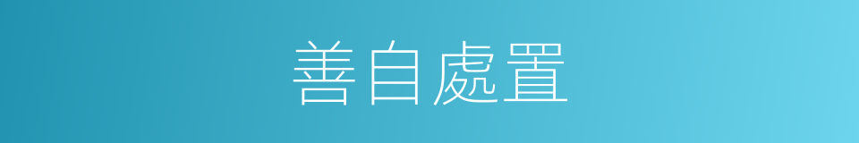 善自處置的意思