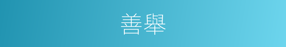 善舉的意思