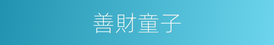 善財童子的意思