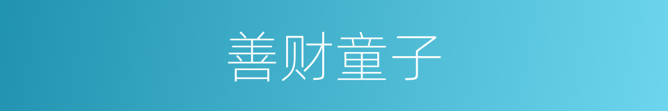 善财童子的意思