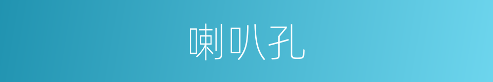 喇叭孔的同义词