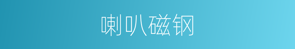 喇叭磁钢的同义词