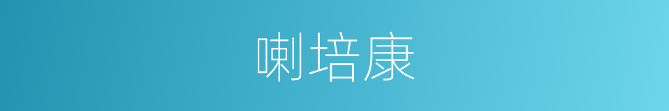 喇培康的同义词