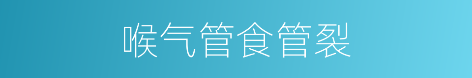 喉气管食管裂的同义词