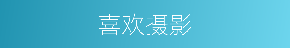 喜欢摄影的同义词