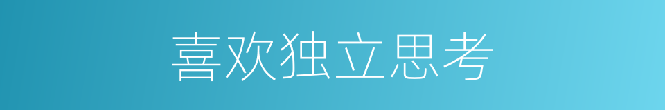 喜欢独立思考的同义词