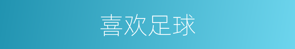 喜欢足球的同义词