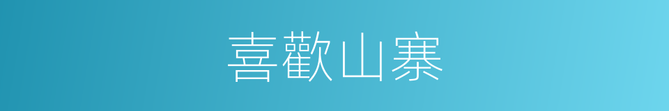 喜歡山寨的同義詞