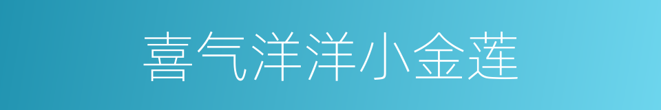 喜气洋洋小金莲的同义词