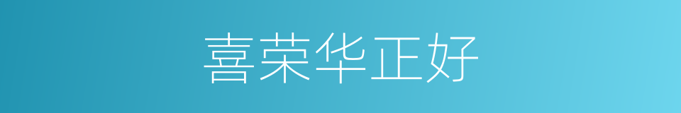 喜荣华正好的同义词