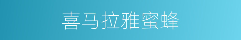 喜马拉雅蜜蜂的同义词