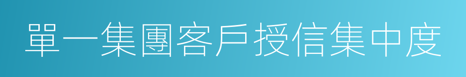 單一集團客戶授信集中度的同義詞