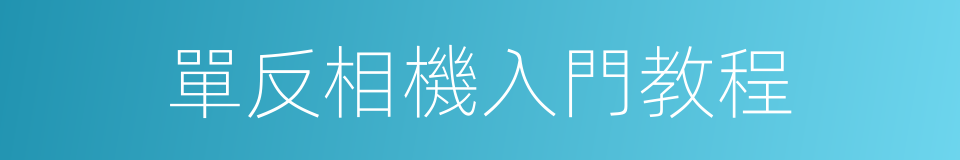 單反相機入門教程的同義詞
