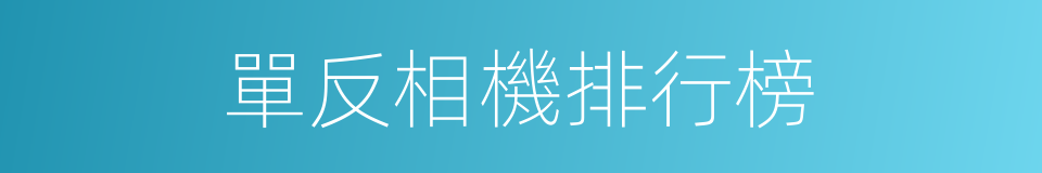 單反相機排行榜的同義詞