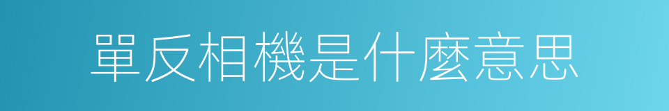 單反相機是什麼意思的同義詞