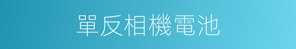 單反相機電池的同義詞