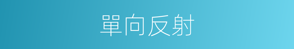 單向反射的同義詞