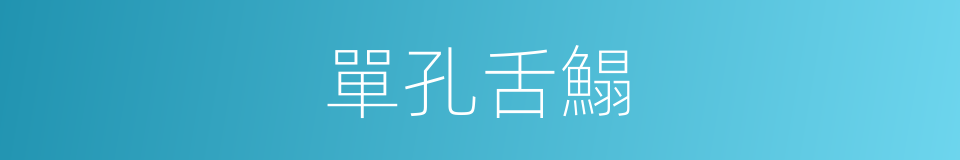 單孔舌鰨的同義詞