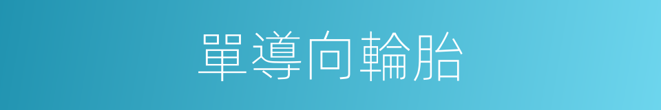 單導向輪胎的同義詞