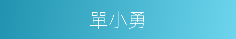 單小勇的同義詞