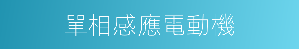 單相感應電動機的同義詞