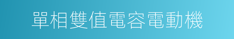 單相雙值電容電動機的同義詞