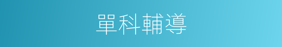 單科輔導的同義詞