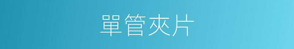 單管夾片的同義詞