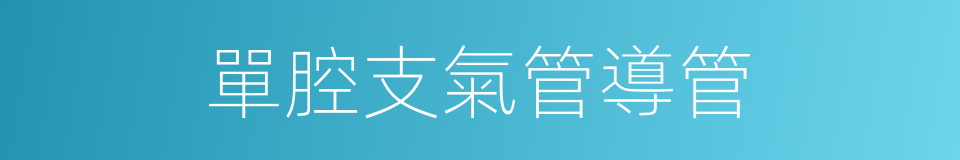 單腔支氣管導管的同義詞