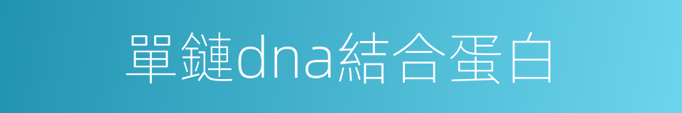 單鏈dna結合蛋白的同義詞