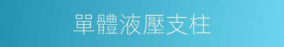 單體液壓支柱的同義詞