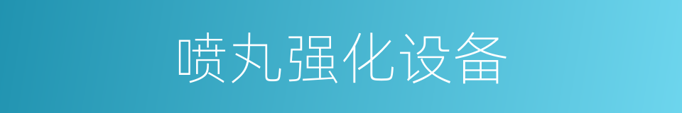 喷丸强化设备的同义词