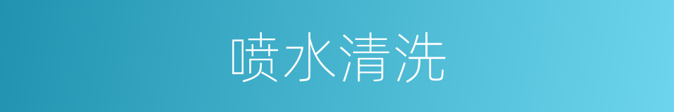喷水清洗的同义词