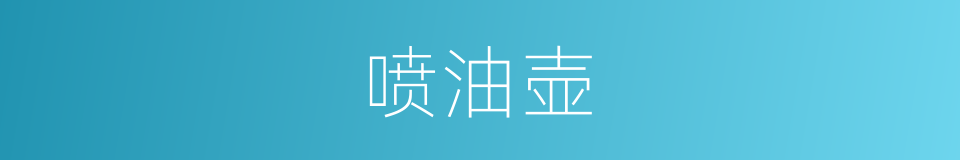 喷油壶的同义词