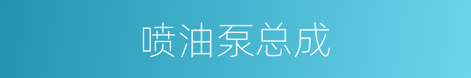 喷油泵总成的同义词