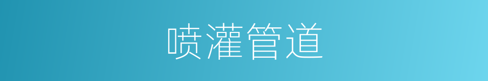 喷灌管道的同义词