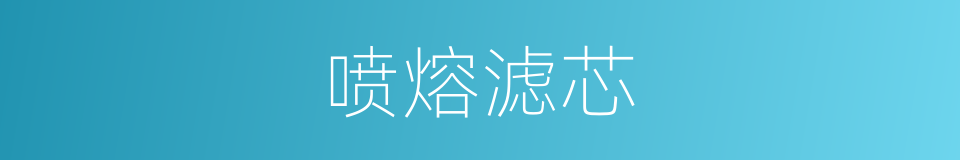 喷熔滤芯的同义词