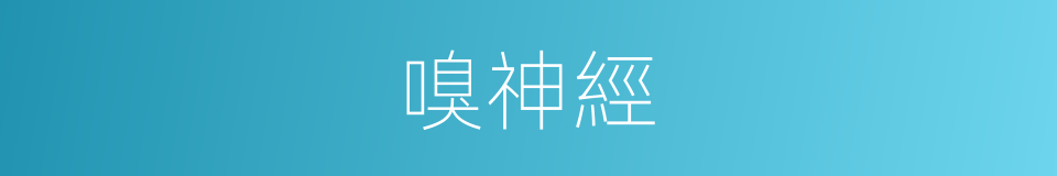 嗅神經的意思