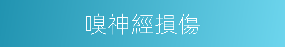 嗅神經損傷的同義詞